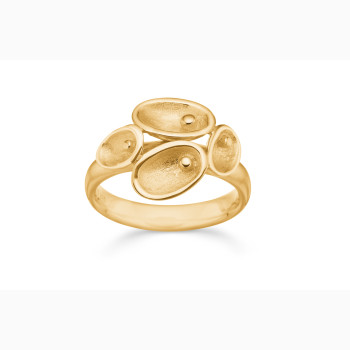 Forgyldt s�lvring - Pin Point