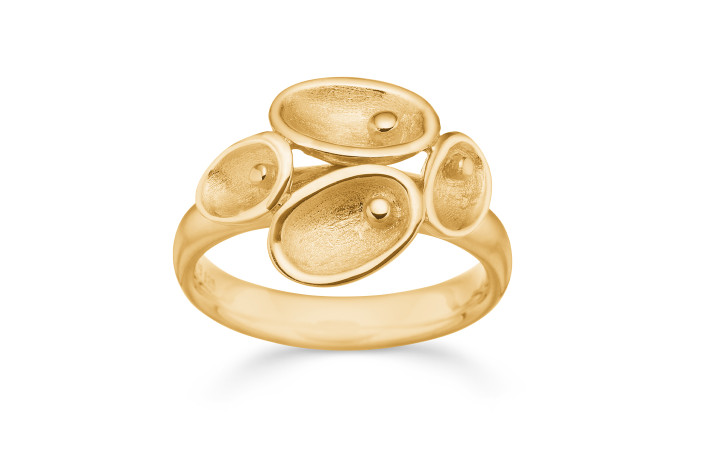Forgyldt s�lvring - Pin Point