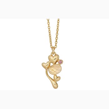 Gold plated necklace - Bunch of Love